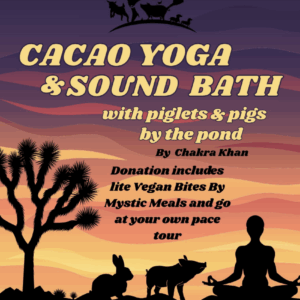 CACAO YOGA SOUND BATH